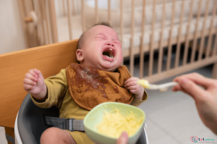 Starting Solid Foods to baby