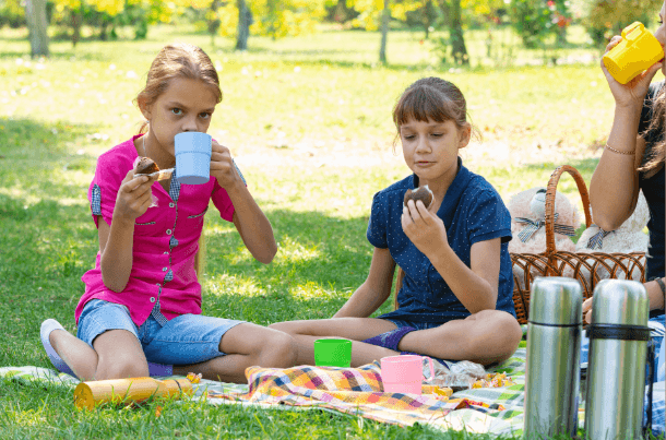 how to plan a family picnic