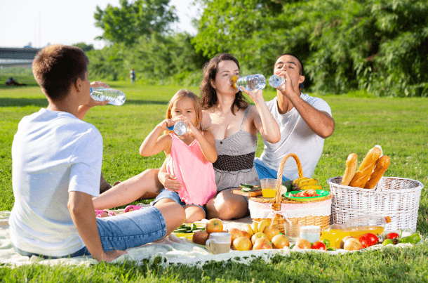 how to plan a family picnic